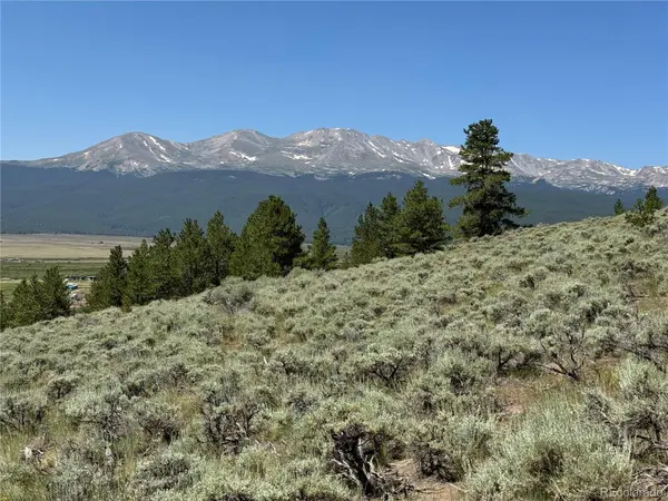 8361 Bank Placer, Leadville, CO 80461