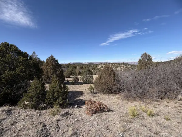 91 King PL, Cotopaxi, CO 81223