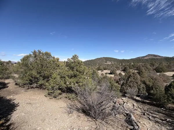 91 King PL, Cotopaxi, CO 81223