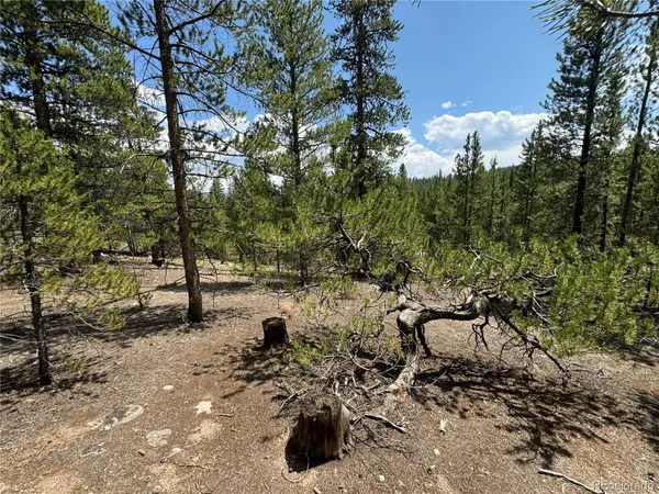 218 Aspen DR, Leadville, CO 80461