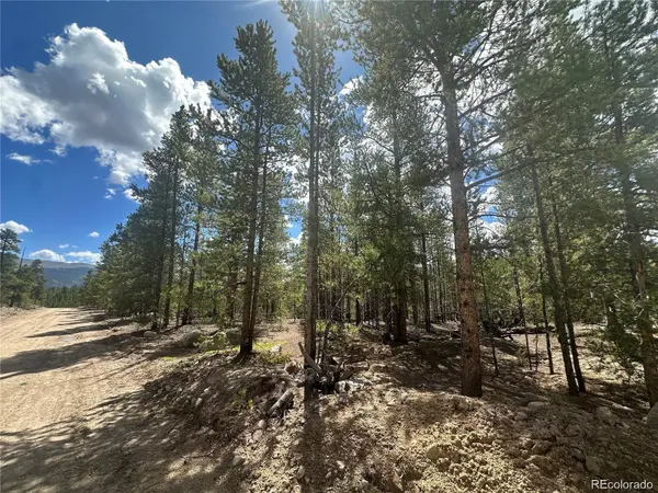 218 Aspen DR, Leadville, CO 80461