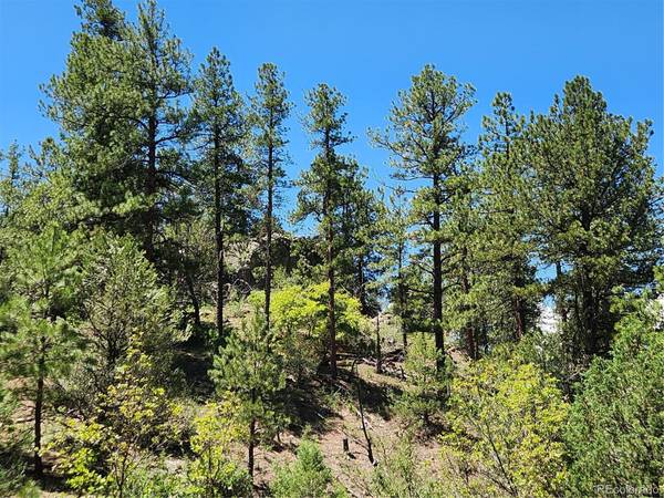 102 Kevin DR, Cotopaxi, CO 81223