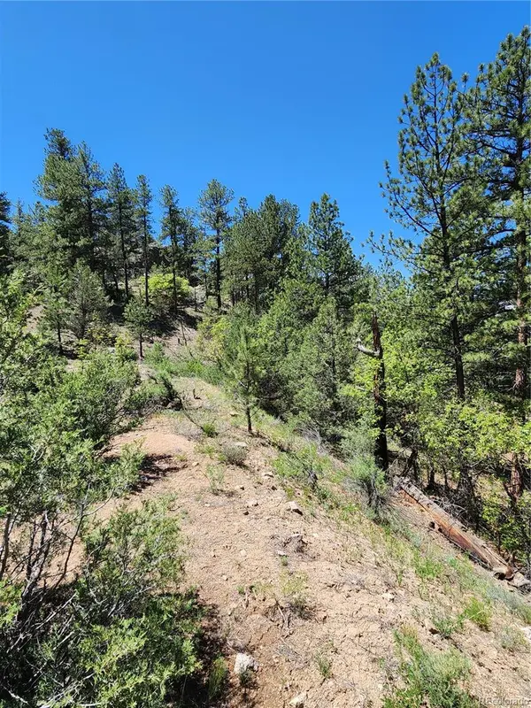102 Kevin DR, Cotopaxi, CO 81223