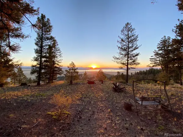 65 Spike WAY, Hartsel, CO 80449