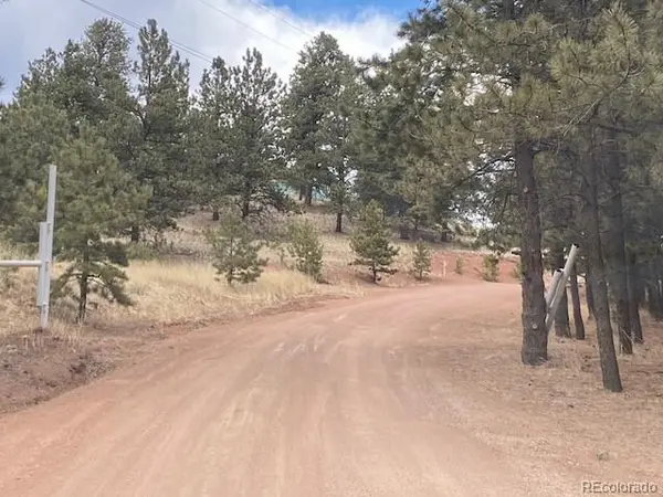 4023 Teller 1 RD, Cripple Creek, CO 80813