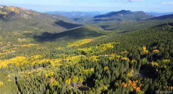 429 Sawmill LN, Idaho Springs, CO 80452