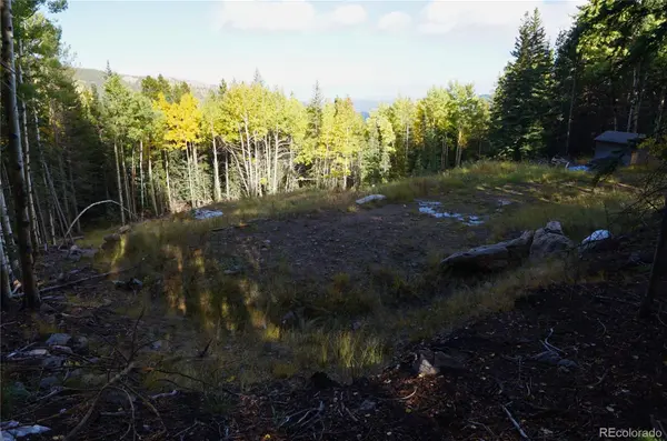 429 Sawmill LN, Idaho Springs, CO 80452