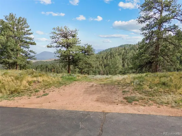 13817 Gordon CT, Pine, CO 80470