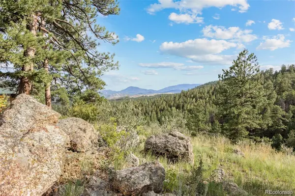 13817 Gordon CT, Pine, CO 80470