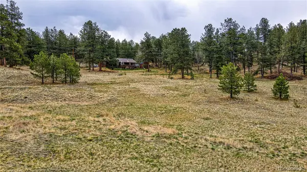 188 High Pasture RD, Florissant, CO 80816