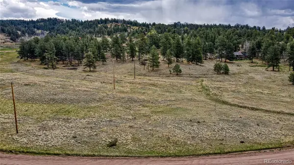 188 High Pasture RD, Florissant, CO 80816