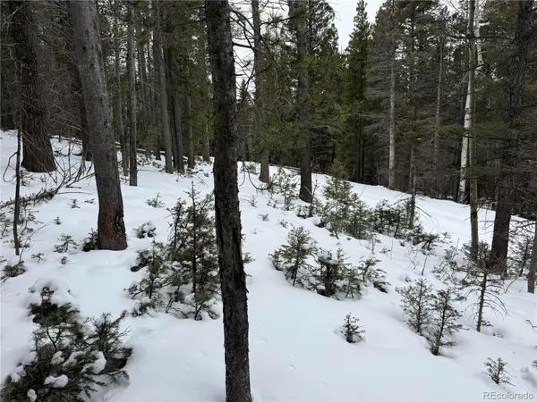 Lot 2759 Purnell LN, Fort Garland, CO 81133