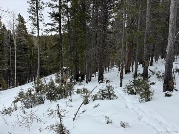 Lot 2759 Purnell LN, Fort Garland, CO 81133