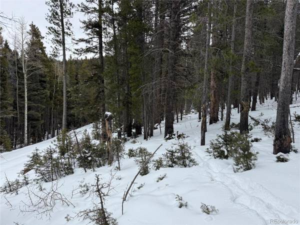 Lot 2759 Purnell LN, Fort Garland, CO 81133