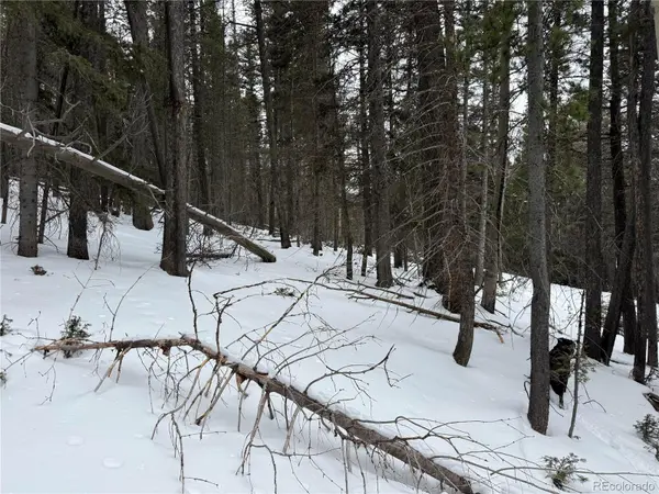 Lot 2759 Purnell LN, Fort Garland, CO 81133