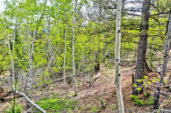 28 Old Squaw RD, Jefferson, CO 80456