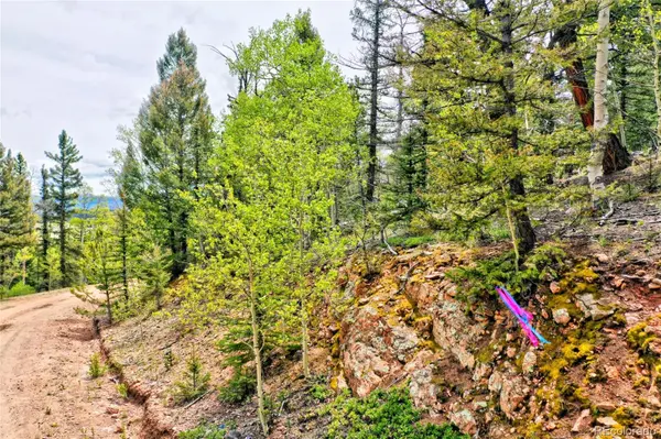 28 Old Squaw RD, Jefferson, CO 80456