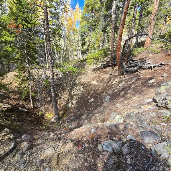5347 Monitor Lode Claims, Leadville, CO 80461