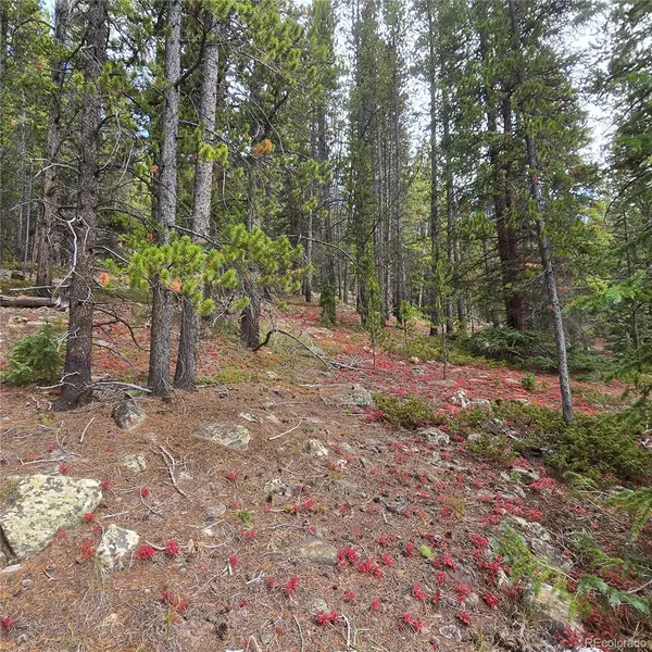 5347 Monitor Lode Claims, Leadville, CO 80461