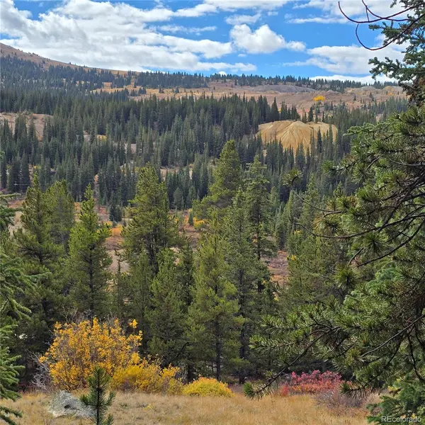 5347 Monitor Lode Claims, Leadville, CO 80461