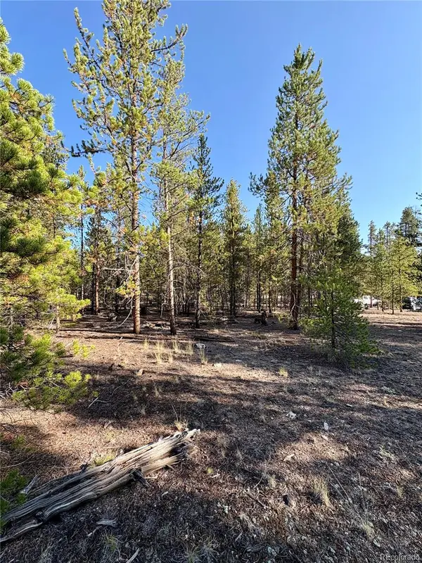 776 Birch DR, Twin Lakes, CO 80461