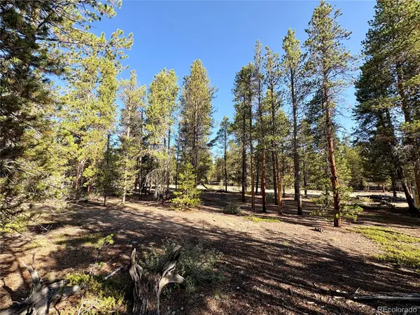 776 Birch DR, Twin Lakes, CO 80461