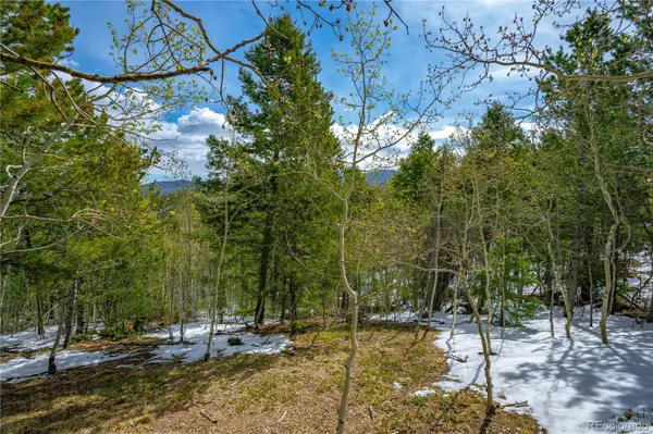 192 Deadwood RD, Cripple Creek, CO 80813