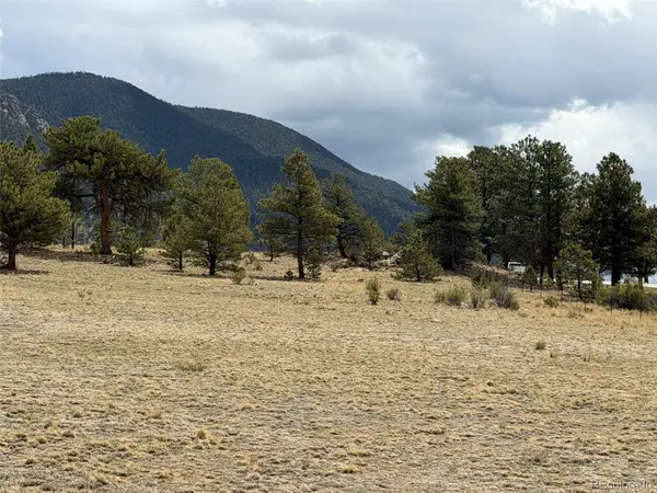42 Turner Gulch RD, Hartsel, CO 80449