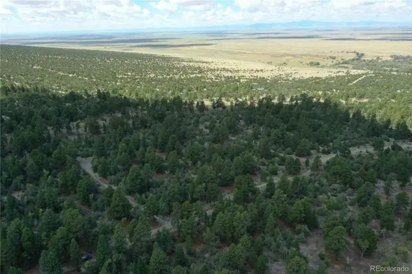 Pawnee CT, Mosca, CO 81146