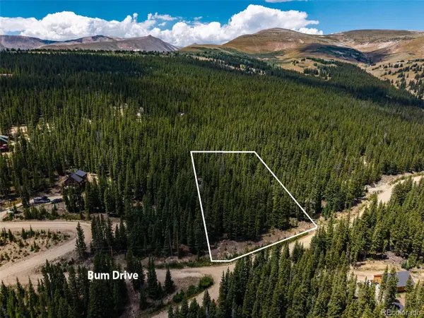 345 Bum DR, Fairplay, CO 80440