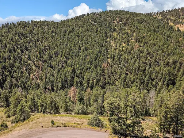 13809 Elsie RD, Conifer, CO 80433