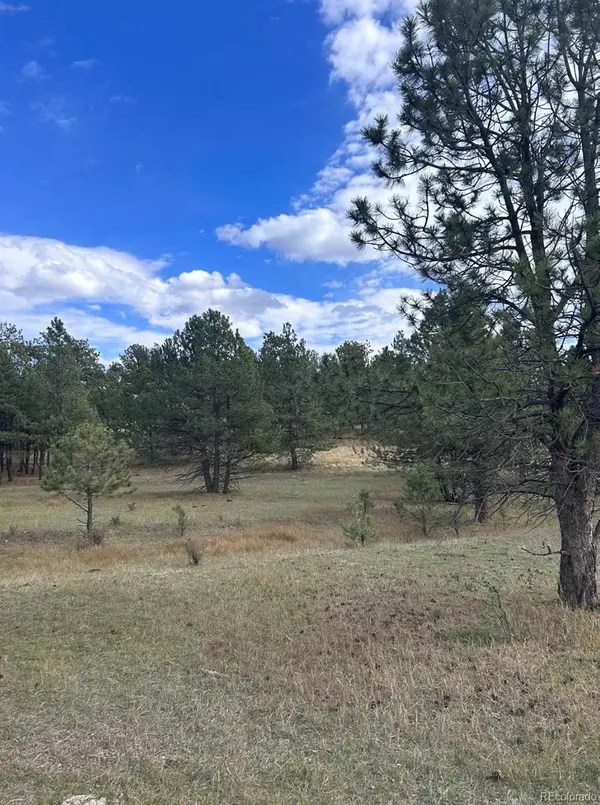 382 Arrowhead DR, Florissant, CO 80816