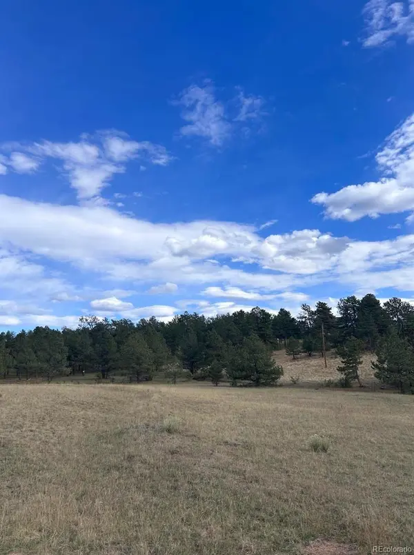 382 Arrowhead DR, Florissant, CO 80816