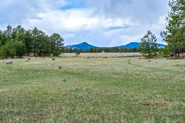 Tract 103 Doe Valley RD, Guffey, CO 80820