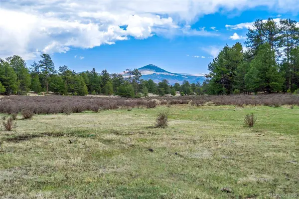 Tract 103 Doe Valley RD, Guffey, CO 80820