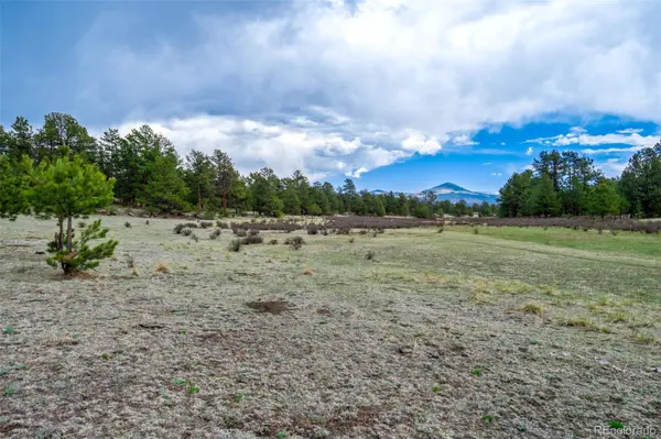 Tract 103 Doe Valley RD, Guffey, CO 80820