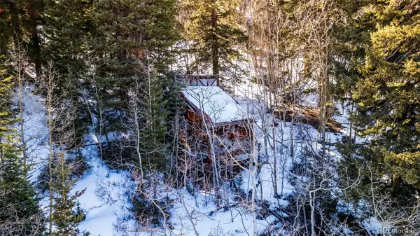 944 Roberts RD, Alma, CO 80420