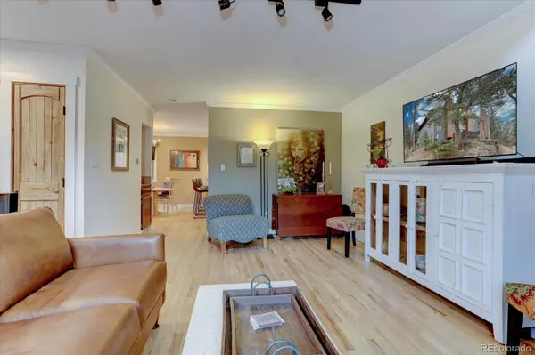 4885 Silver Spruce LN, Evergreen, CO 80439