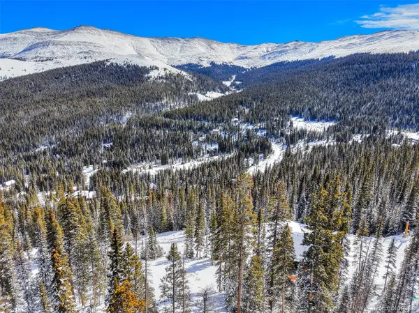 513 Carroll LN, Breckenridge, CO 80424