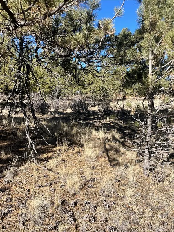 00 Oak ST, Hartsel, CO 80449