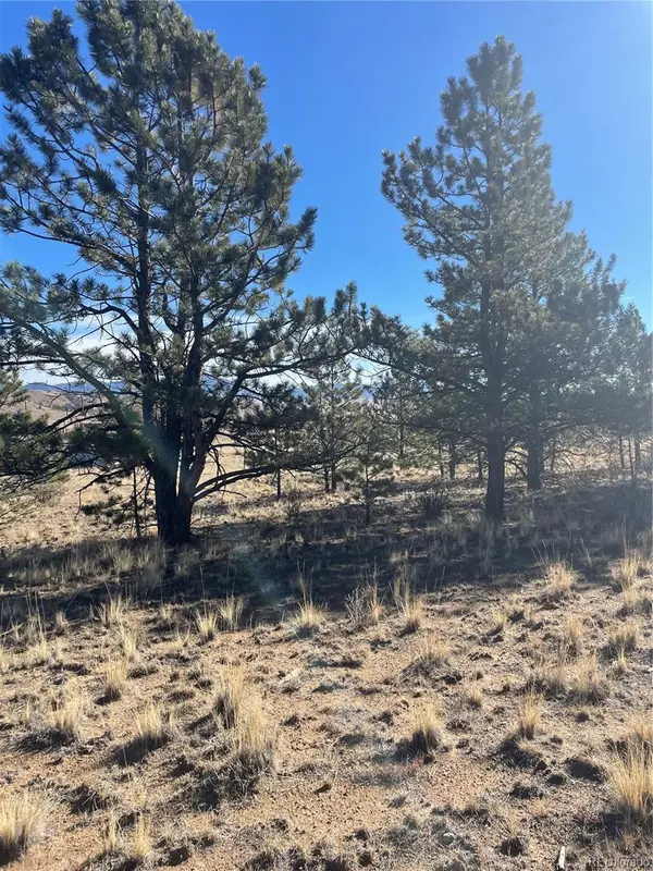 00 Oak ST, Hartsel, CO 80449