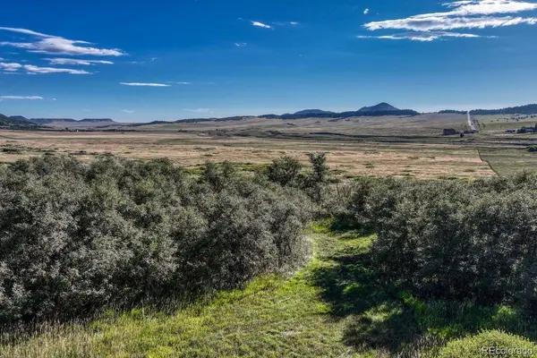 15989 S Perry Park RD, Larkspur, CO 80118
