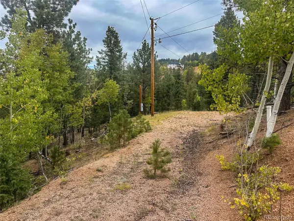 599 Dandy Jim DR, Cripple Creek, CO 80813