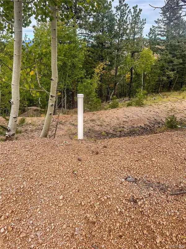 599 Dandy Jim DR, Cripple Creek, CO 80813