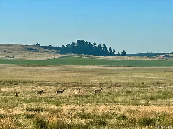 Craven Lot 1, Elbert, CO 80106