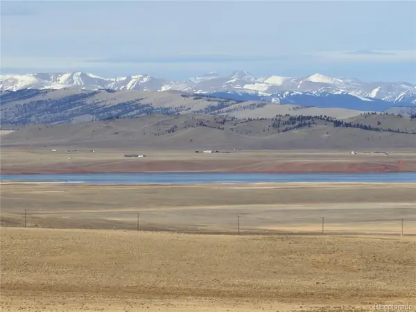 311 Harness WAY, Hartsel, CO 80449