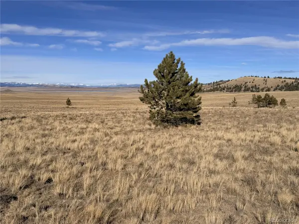 311 Harness WAY, Hartsel, CO 80449