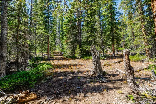 112 Sunshine DR, Fairplay, CO 80440