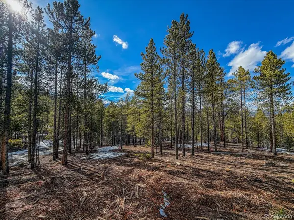 483 Mt Massive RD, Twin Lakes, CO 81251