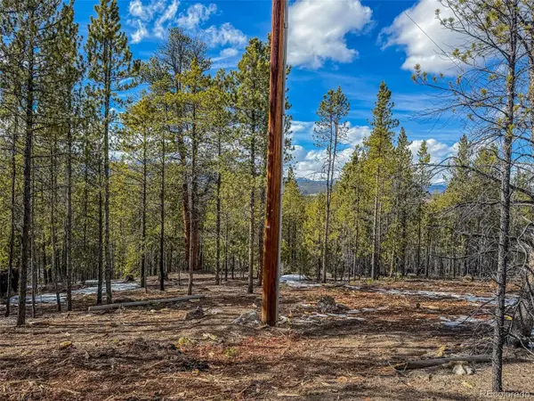 483 Mt Massive RD, Twin Lakes, CO 81251